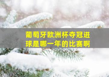 葡萄牙欧洲杯夺冠进球是哪一年的比赛啊