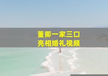 董卿一家三口亮相婚礼视频