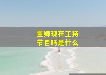 董卿现在主持节目吗是什么