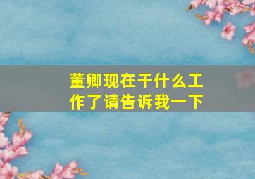 董卿现在干什么工作了请告诉我一下