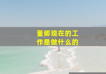 董卿现在的工作是做什么的