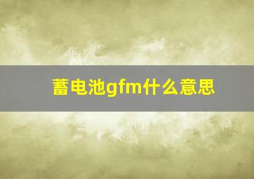 蓄电池gfm什么意思