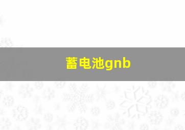 蓄电池gnb