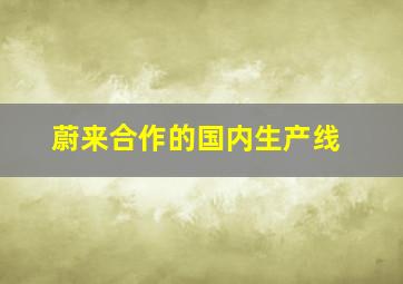 蔚来合作的国内生产线