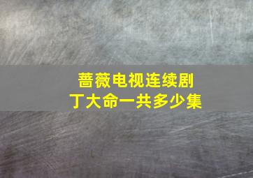 蔷薇电视连续剧丁大命一共多少集