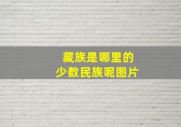 藏族是哪里的少数民族呢图片