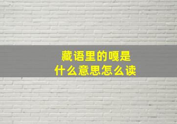 藏语里的嘎是什么意思怎么读