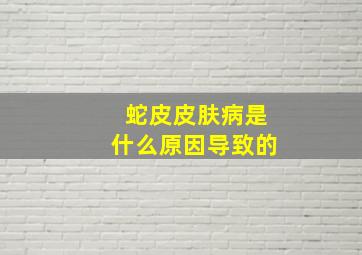 蛇皮皮肤病是什么原因导致的