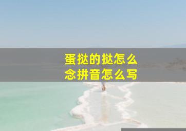 蛋挞的挞怎么念拼音怎么写