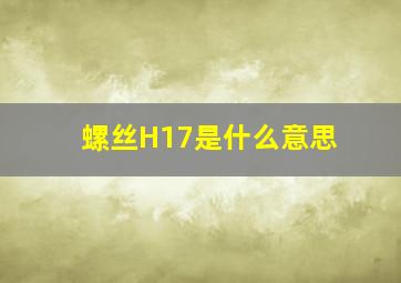 螺丝H17是什么意思