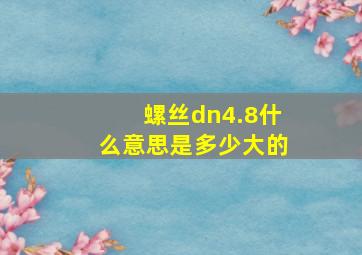 螺丝dn4.8什么意思是多少大的