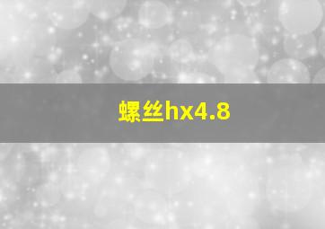 螺丝hx4.8