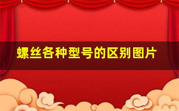 螺丝各种型号的区别图片