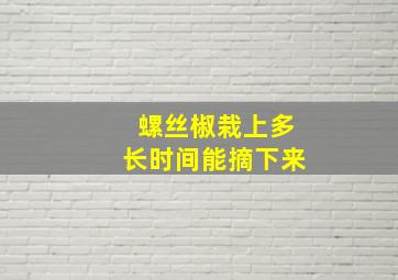 螺丝椒栽上多长时间能摘下来