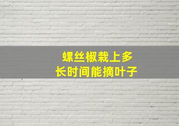 螺丝椒栽上多长时间能摘叶子