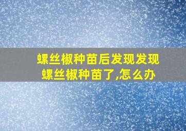 螺丝椒种苗后发现发现螺丝椒种苗了,怎么办