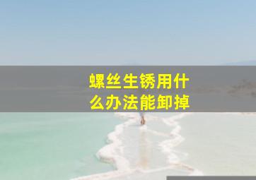 螺丝生锈用什么办法能卸掉