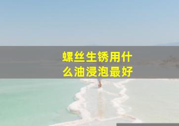 螺丝生锈用什么油浸泡最好