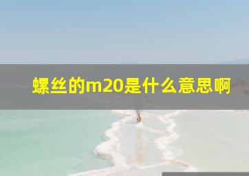 螺丝的m20是什么意思啊