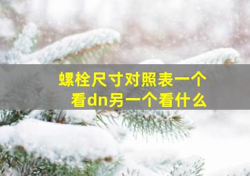 螺栓尺寸对照表一个看dn另一个看什么