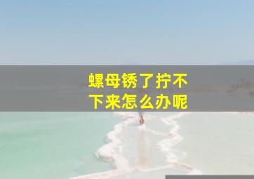 螺母锈了拧不下来怎么办呢