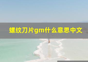 螺纹刀片gm什么意思中文