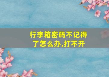 行李箱密码不记得了怎么办,打不开