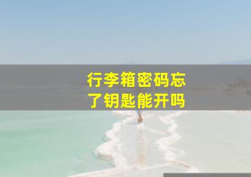 行李箱密码忘了钥匙能开吗