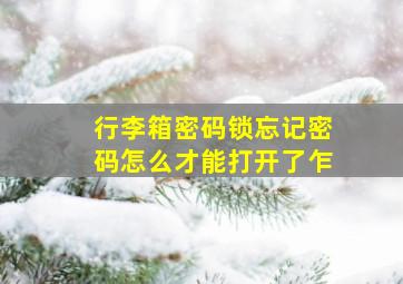 行李箱密码锁忘记密码怎么才能打开了乍