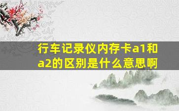 行车记录仪内存卡a1和a2的区别是什么意思啊