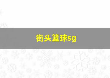 街头篮球sg