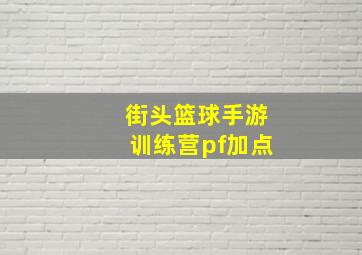 街头篮球手游训练营pf加点