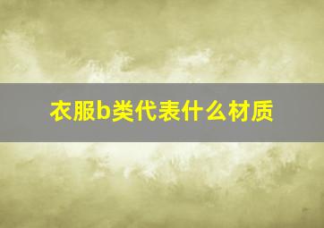 衣服b类代表什么材质