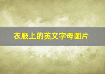 衣服上的英文字母图片