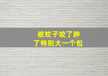 被蚊子咬了肿了特别大一个包