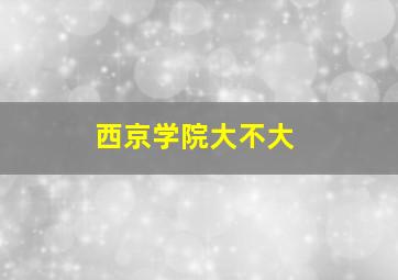 西京学院大不大