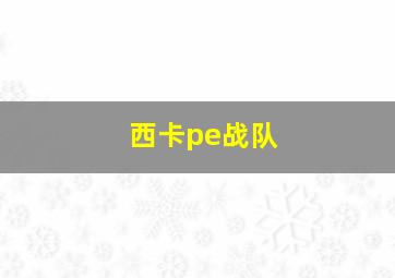 西卡pe战队