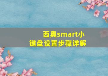 西奥smart小键盘设置步骤详解