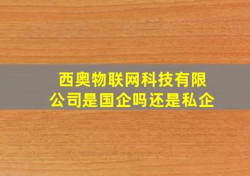 西奥物联网科技有限公司是国企吗还是私企