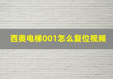 西奥电梯001怎么复位视频