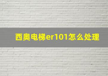 西奥电梯er101怎么处理