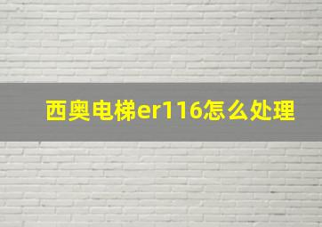 西奥电梯er116怎么处理