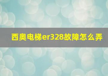 西奥电梯er328故障怎么弄