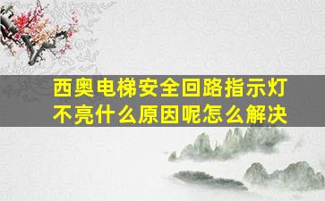 西奥电梯安全回路指示灯不亮什么原因呢怎么解决