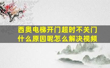 西奥电梯开门超时不关门什么原因呢怎么解决视频