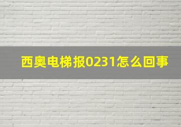 西奥电梯报0231怎么回事