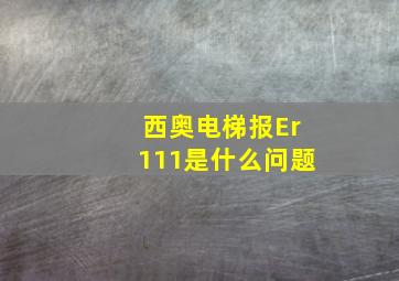 西奥电梯报Er111是什么问题