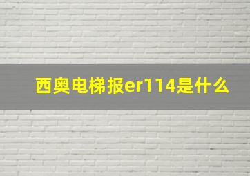 西奥电梯报er114是什么