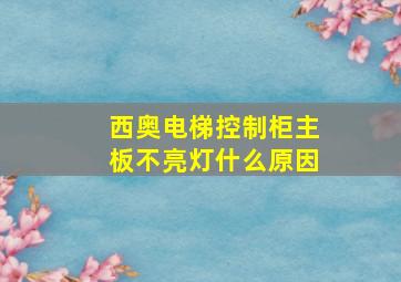 西奥电梯控制柜主板不亮灯什么原因