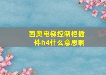 西奥电梯控制柜插件h4什么意思啊